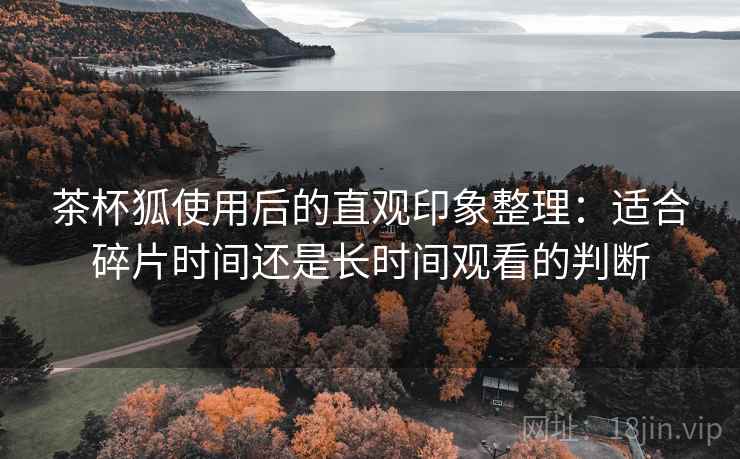 茶杯狐使用后的直观印象整理：适合碎片时间还是长时间观看的判断