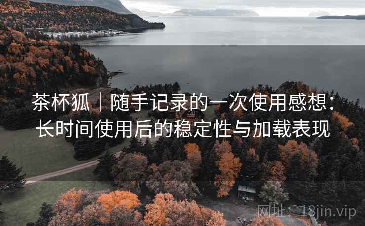 茶杯狐|随手记录的一次使用感想:长时间使用后的稳定性与加载表现 茶杯狐|随手记录的一次使用感想:长时间使用后的稳定性与加载表现